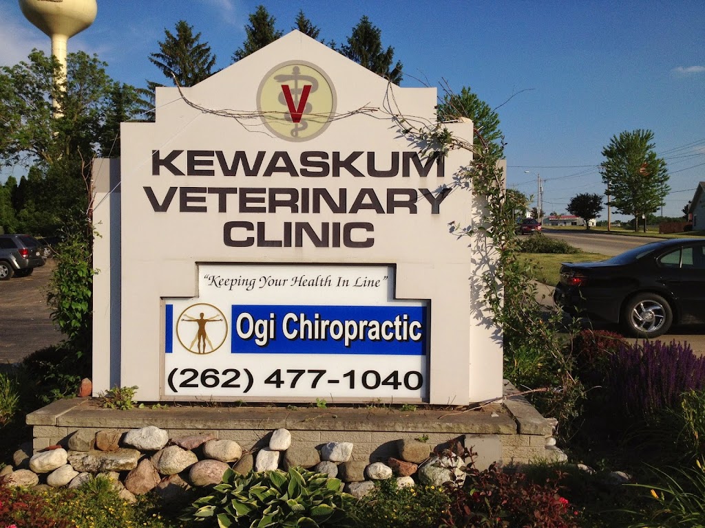 Ogi Chiropractic | 1040 Fond Du Lac Ave, Kewaskum, WI 53040, USA | Phone: (262) 477-1040