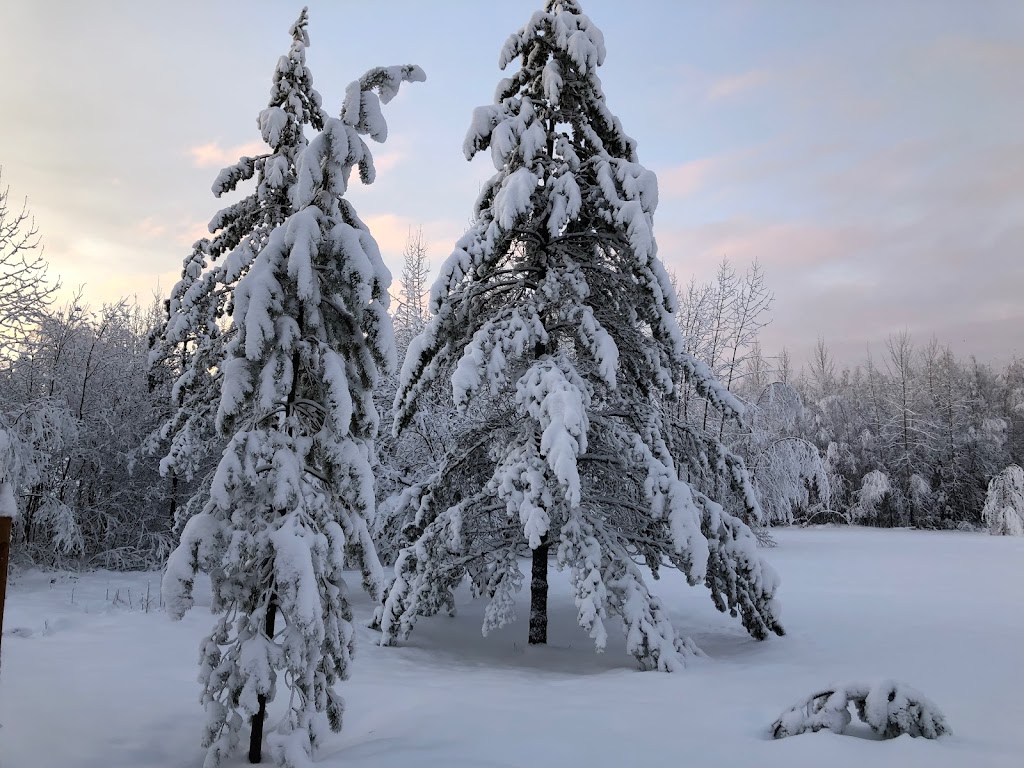 Alaskas Heritage Lodge! Year Round Lodging in Willow, Alaska! | 11048 N Lakes O the Su Dr, Willow, AK 99688, USA | Phone: (907) 495-0840