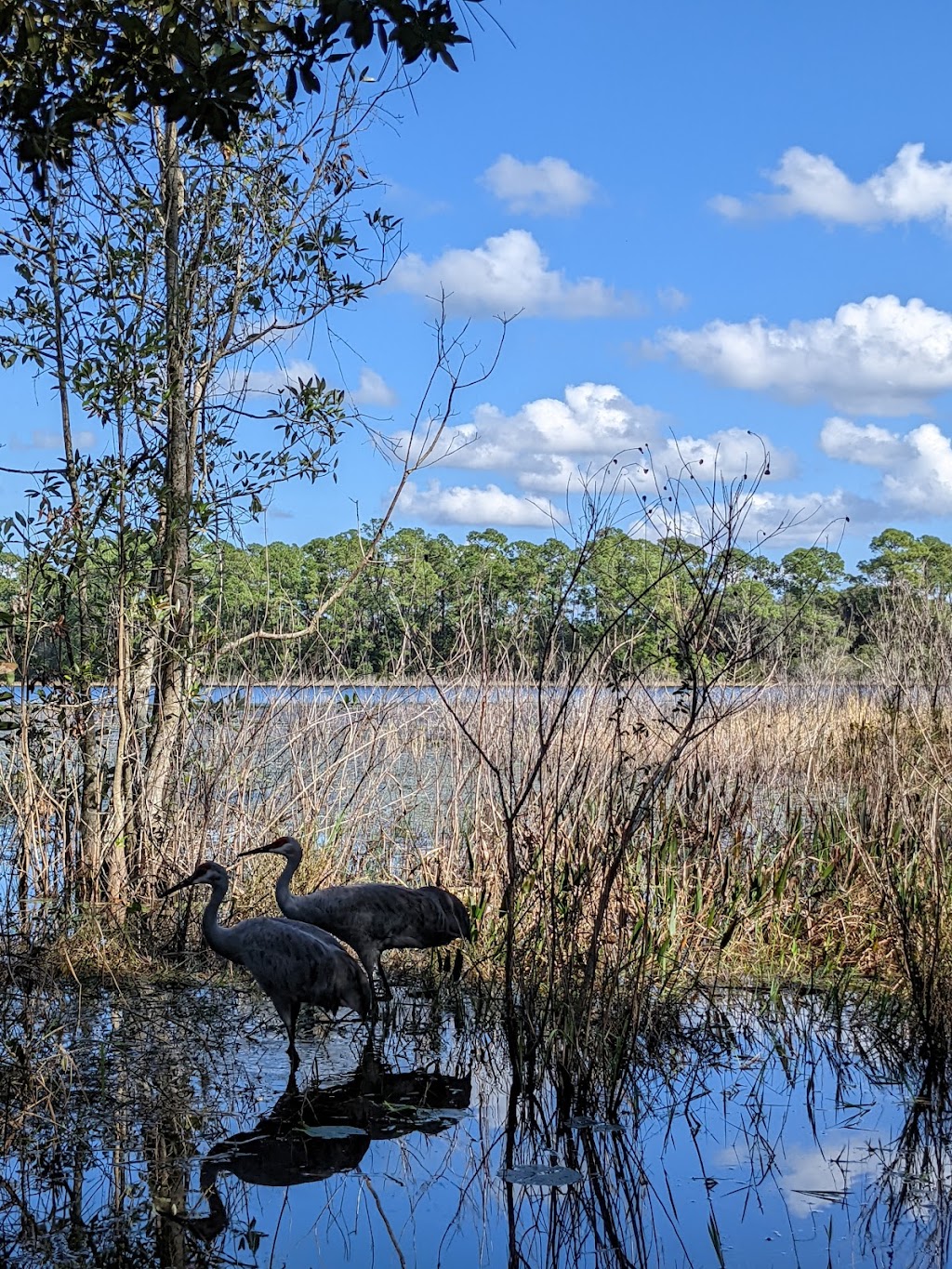 Three Island Nature Park | 2100 Brewster Dr, Deltona, FL 32738, USA | Phone: (386) 878-8900