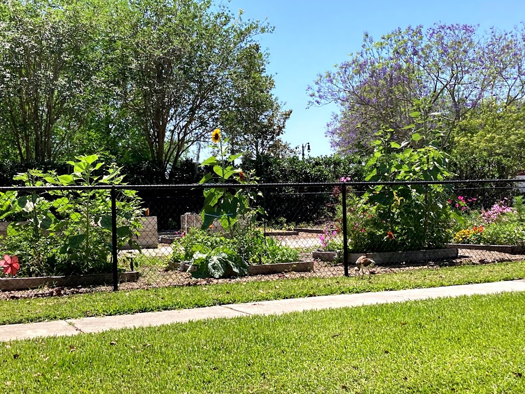 Community Garden | 802 New York Ave, St Cloud, FL 34769, USA | Phone: (407) 957-7243