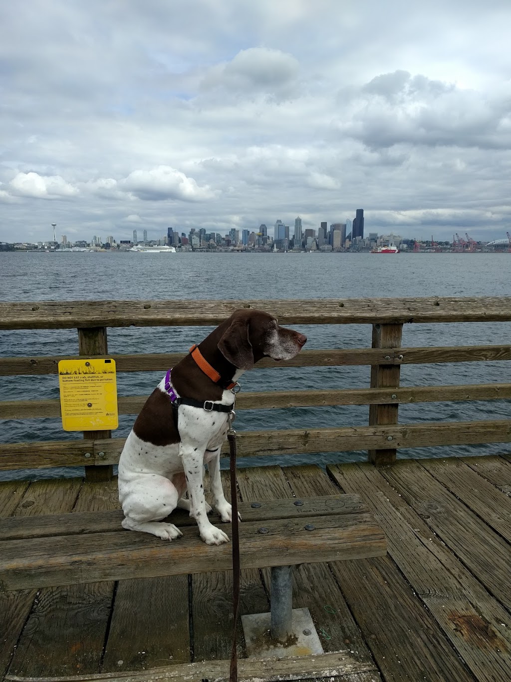 Seacrest Park | 1660 Harbor Ave SW, Seattle, WA 98126, USA | Phone: (206) 684-4075