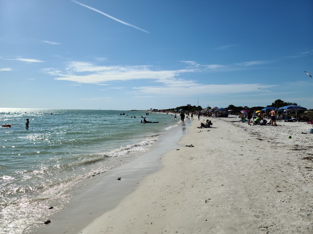 Rotary Centennial Nature Center at Honeymoon Island State Park | 1 Causeway Blvd, Dunedin, FL 34698, USA | Phone: (727) 241-6102