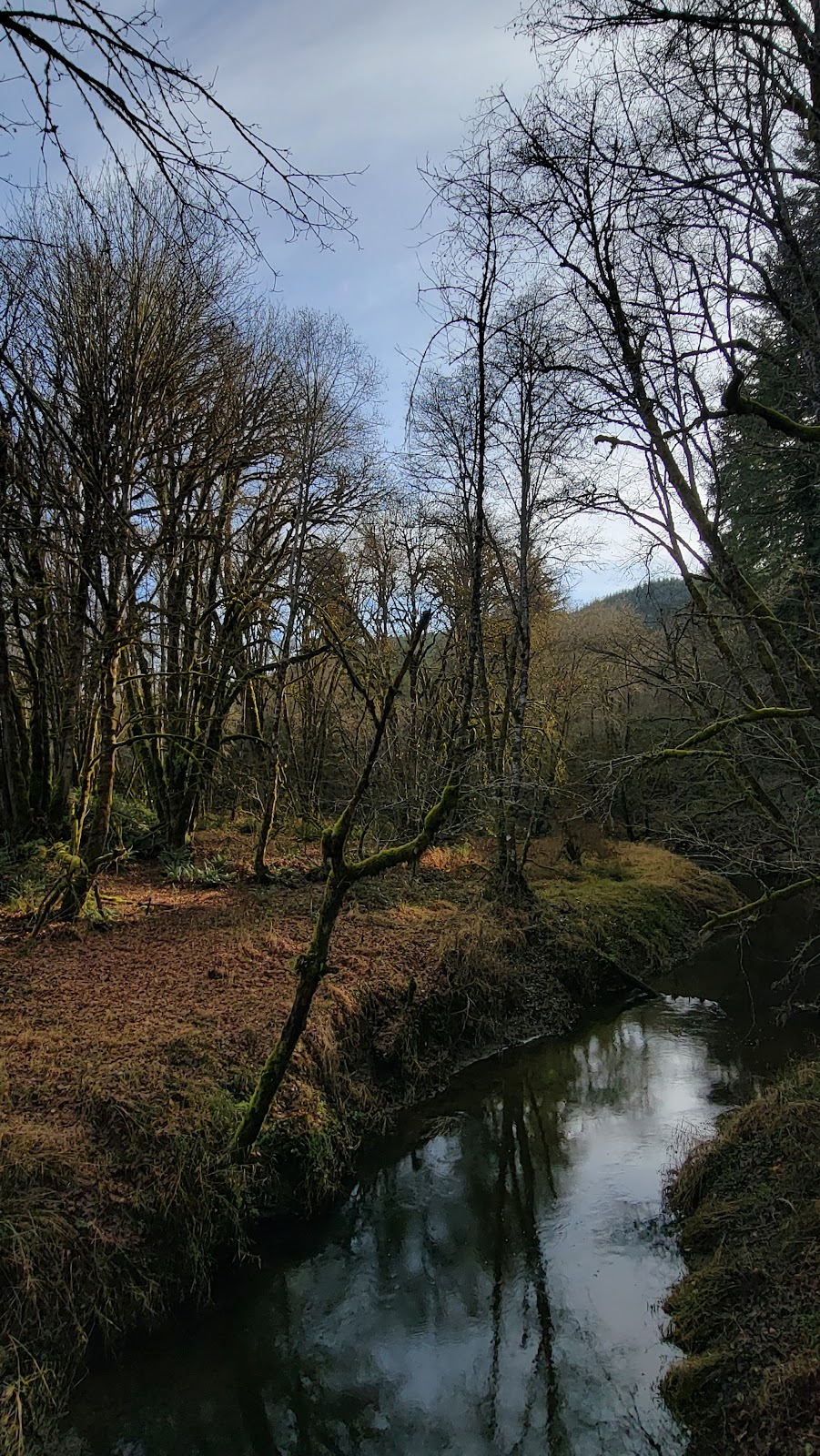 Chapman Landing Trailhead - CZ Trail | Unnamed Road, Scappoose, OR 97056, USA | Phone: (503) 543-7146