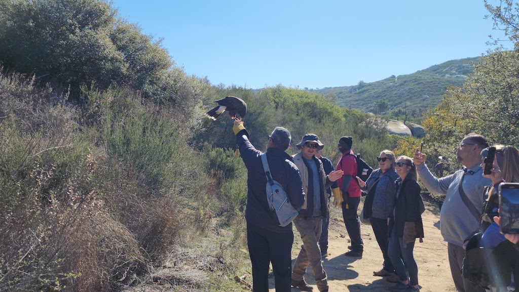 Sky Falconry | 593 Anderson Truck Trail, Alpine, CA 91901, USA | Phone: (619) 722-0092