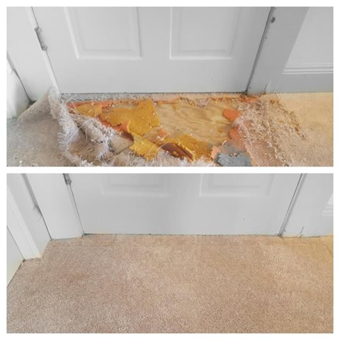 Mannys Carpet Repair | 11346 Hudson Hills Ln, Riverview, FL 33579, USA | Phone: (813) 358-3876