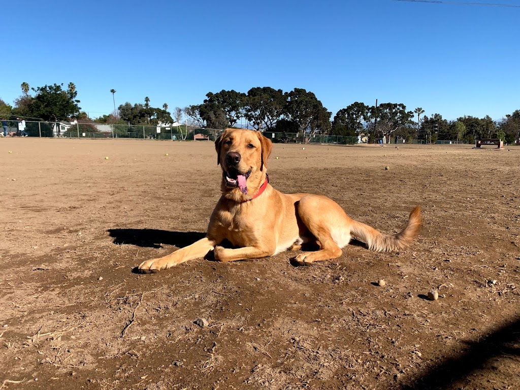 Redondo Beach Dog Park | 190 Flagler Ln, Redondo Beach, CA 90277, USA | Phone: (818) 539-7263