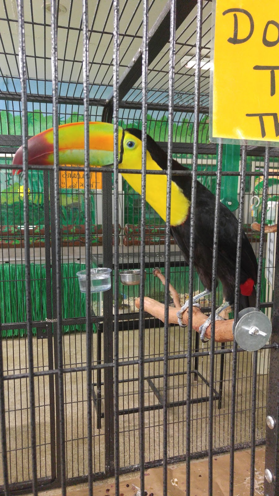 My Bird Store | 551 US-130, Burlington, NJ 08016, USA | Phone: (800) 650-7387