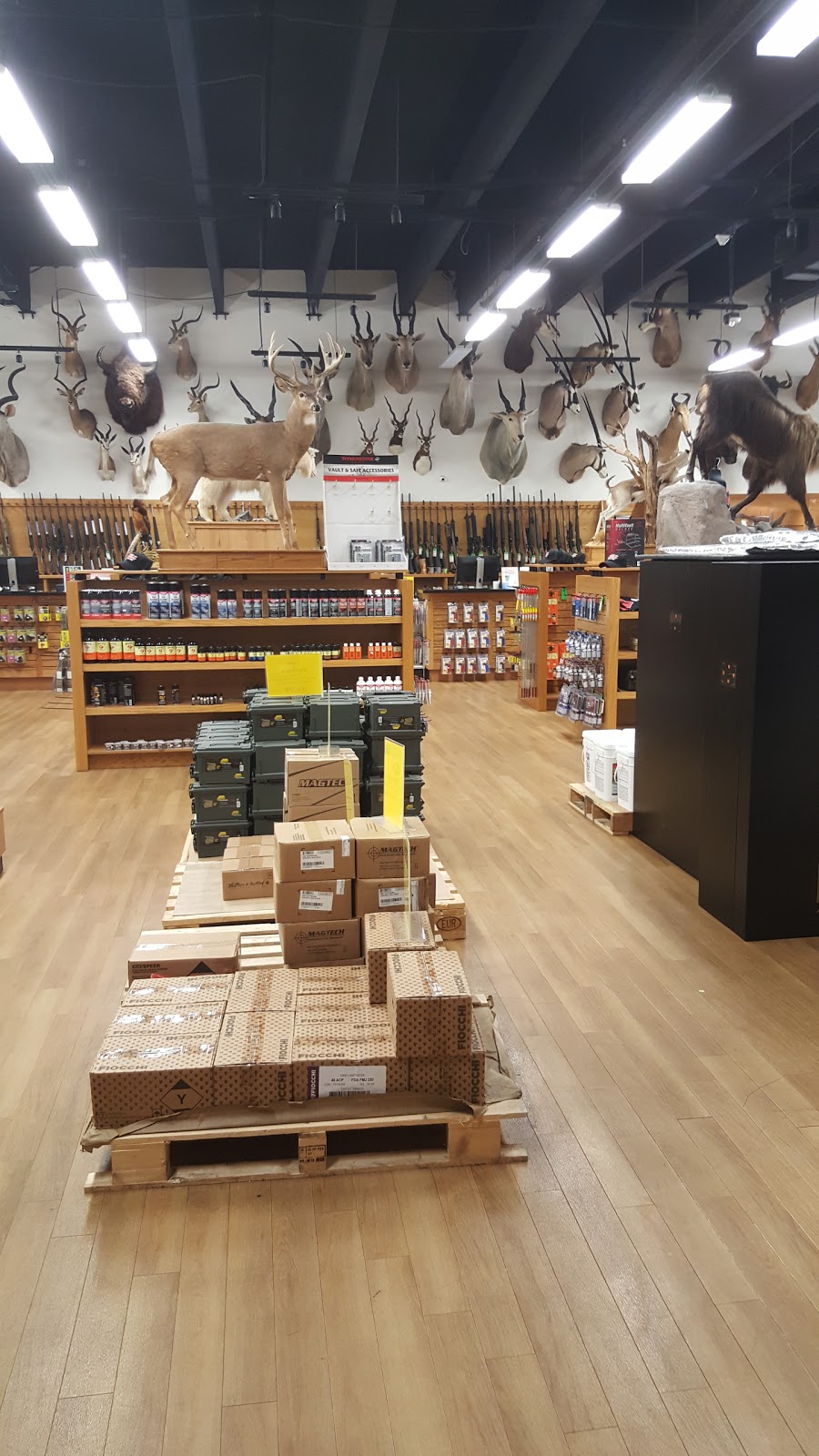 Shoot Straight Fort Lauderdale | 2200 S State Rd 7, Fort Lauderdale, FL 33312, USA | Phone: (954) 641-4040