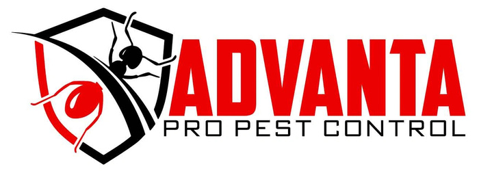 Advanta Pro Pest Control LLC | 27 George Brown St, Billerica, MA 01821, USA | Phone: (978) 987-9819