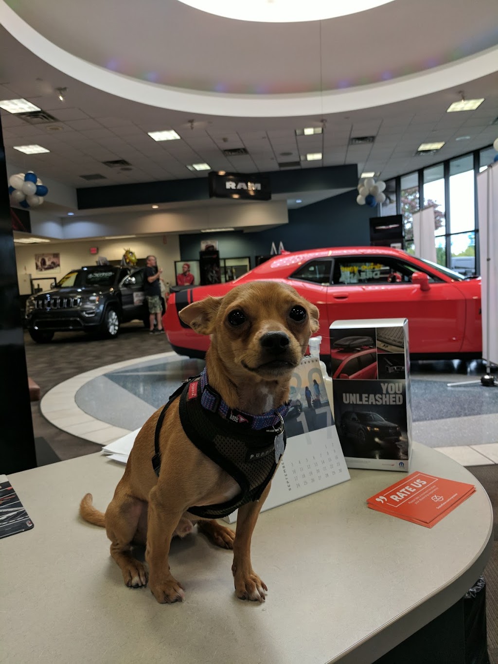 Miloschs Palace Chrysler Dodge Jeep Ram | 3800 S Lapeer Rd, Lake Orion, MI 48359, USA | Phone: (248) 393-2222