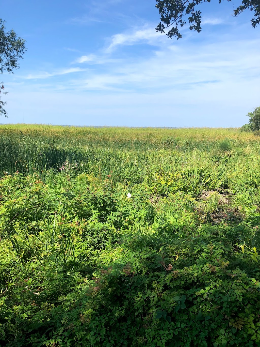 Duck Town Park Boardwalk | Duck Town Park Boardwalk, Duck, NC 27949, USA | Phone: (252) 255-1234