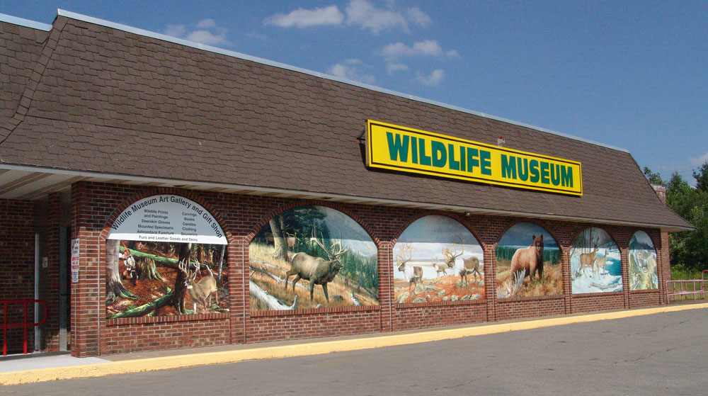 The Wildlife Sports and Educational Museum | 3747 NY-30, Amsterdam, NY 12010, USA | Phone: (518) 762-7925