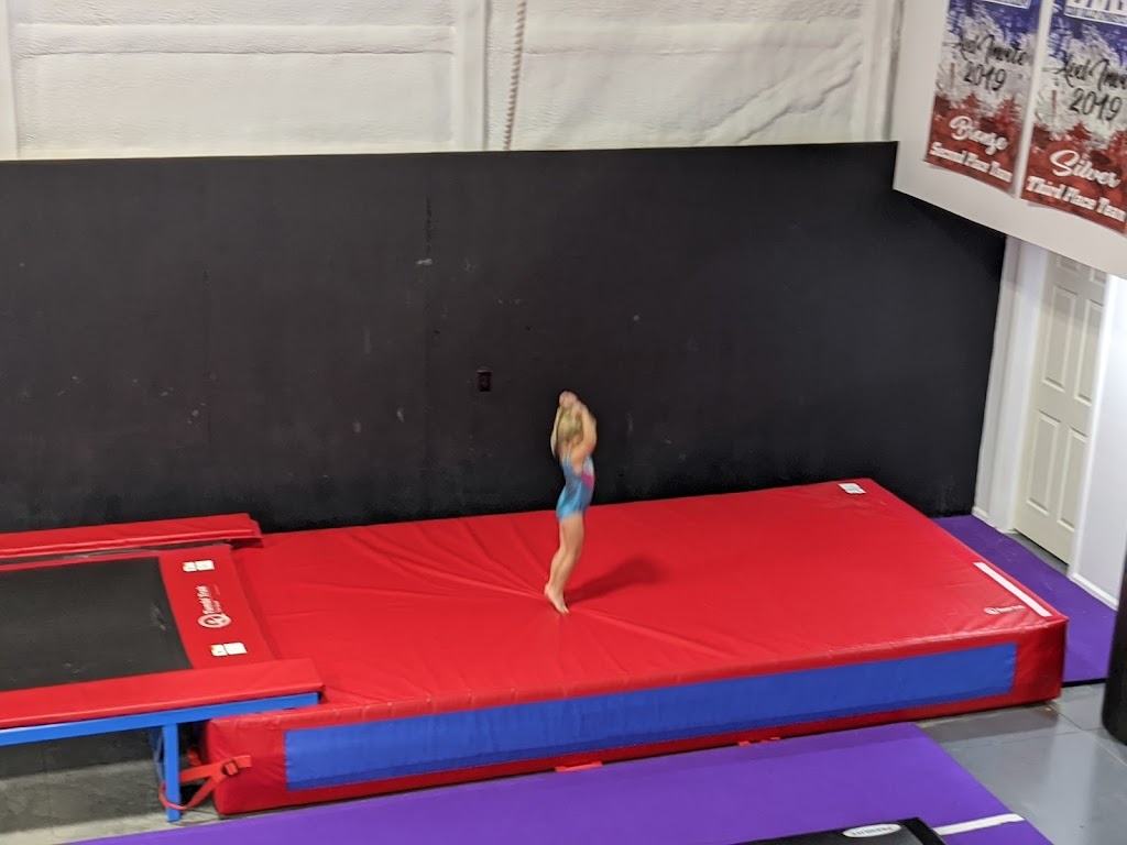 Platinum Gymnastics Academy | 2651 235th Trail, Logan, IA 51546, USA | Phone: (712) 216-0571