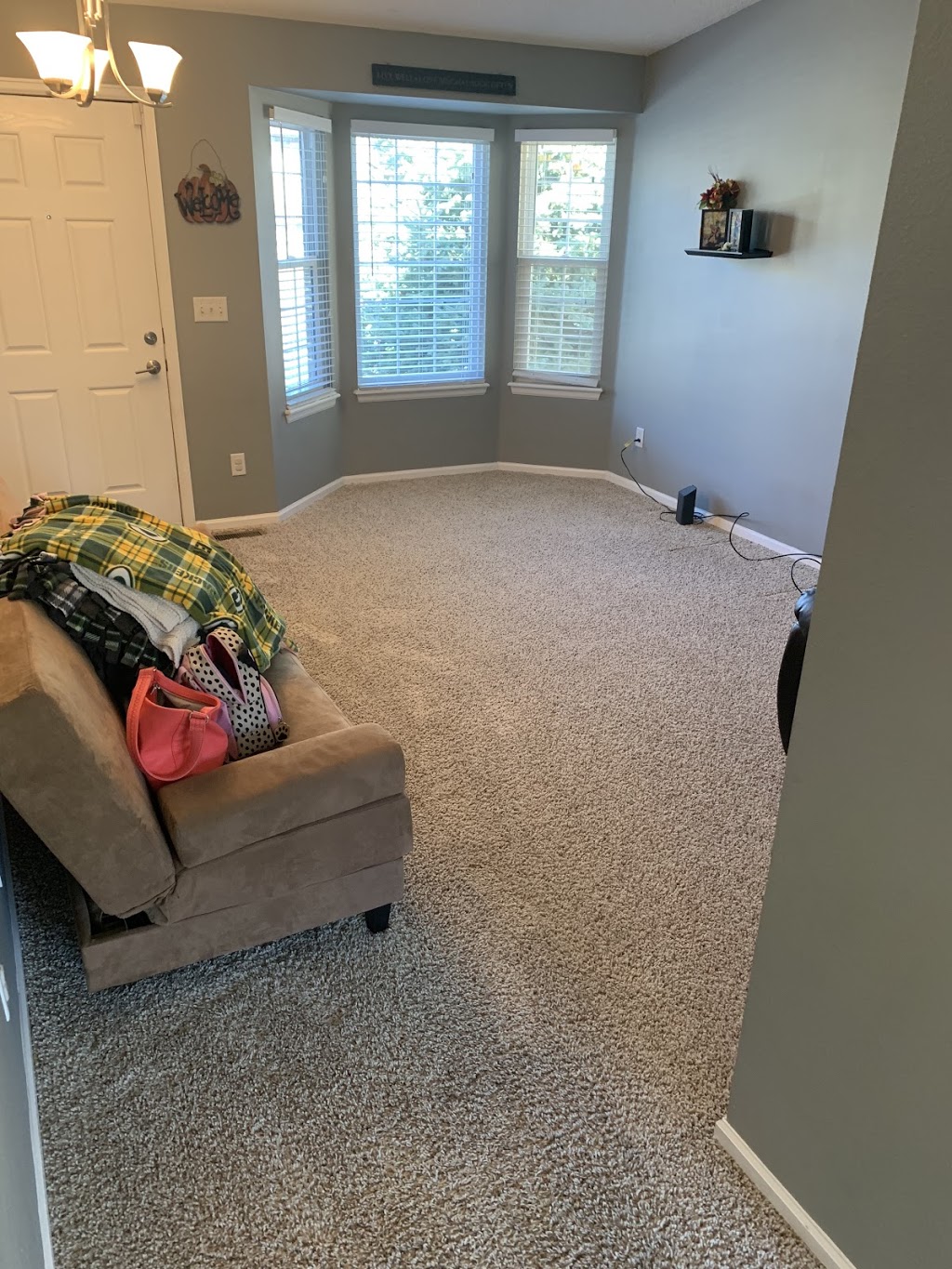 Pristine Carpet Cleaning | 12161 Bannock St unit a, Westminster, CO 80234, USA | Phone: (303) 993-6751