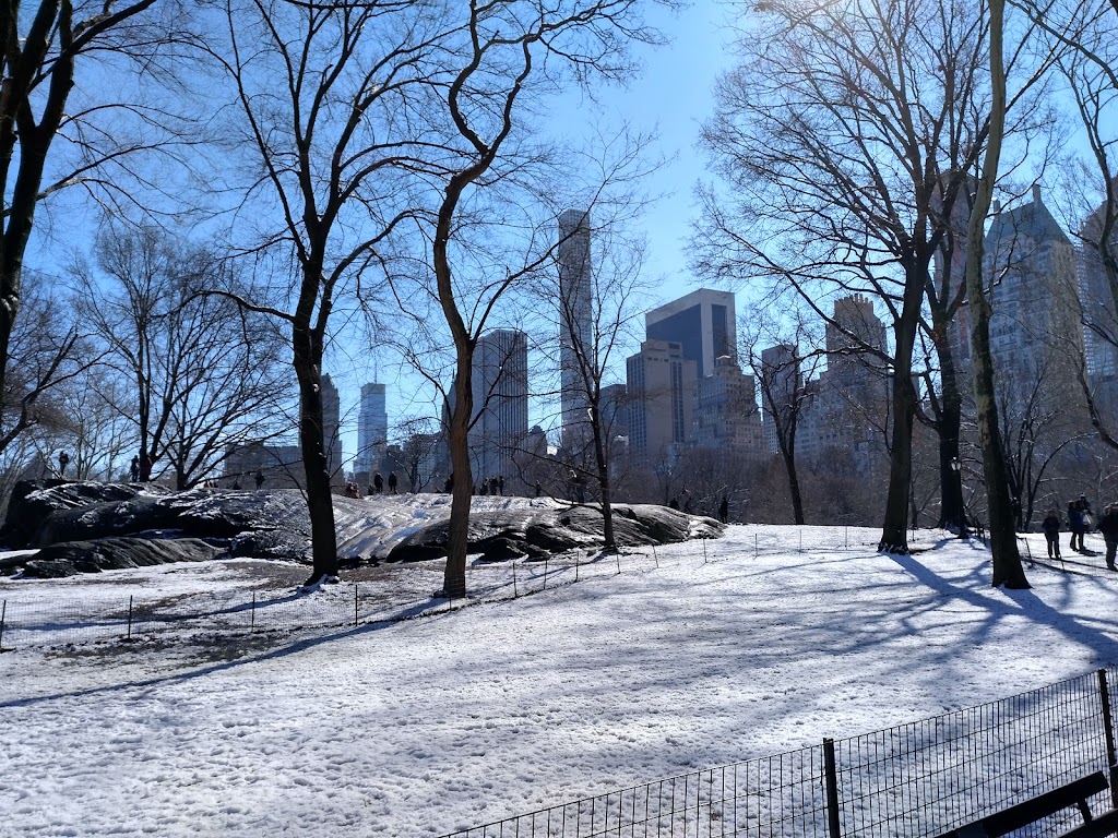 Amsterdam | 240 W 65th St, New York, NY 10023, USA | Phone: (212) 265-1803