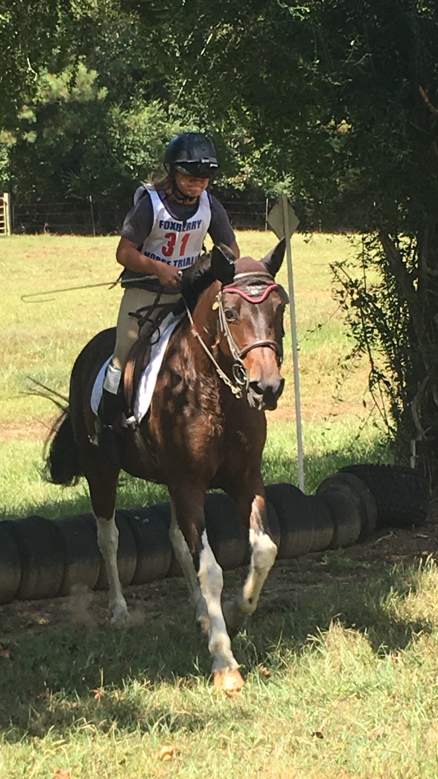 Sky Creek Farm and Ride with Heid | 3671 N Cook Rd, Powder Springs, GA 30127, USA | Phone: (404) 610-5045