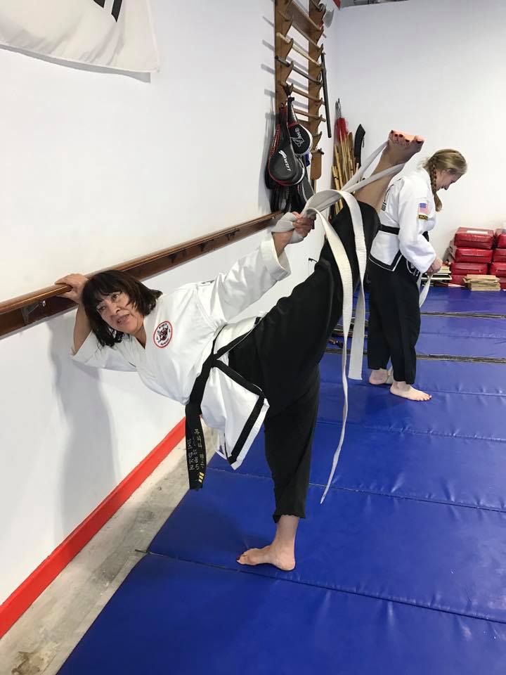 Kims Hapkido Martial Arts | 4848 Virginia Beach Blvd Suite 12, Virginia Beach, VA 23462, USA | Phone: (757) 497-8880