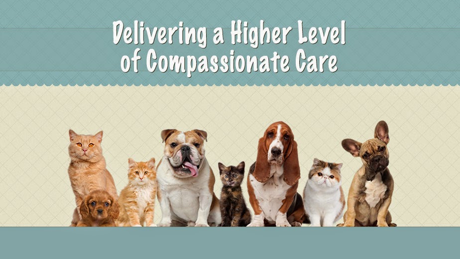 Dames Point Animal Hospital | 8321 Dames Point Crossing Blvd, Jacksonville, FL 32277, USA | Phone: (904) 744-2699