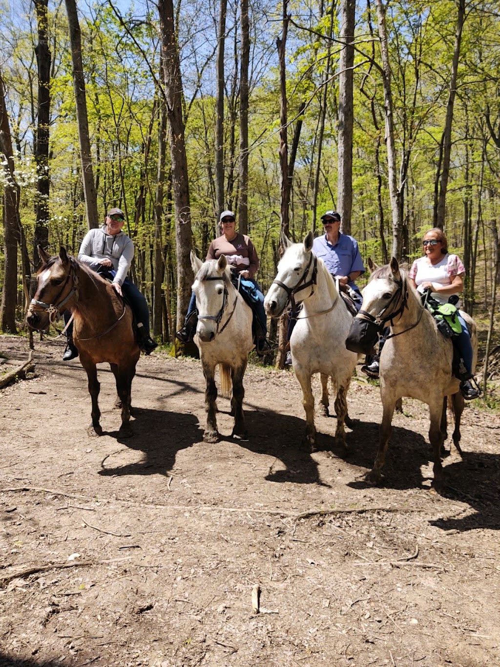 Whispering Woods Riding Stables | 265 Wright Ln, Georgetown, KY 40324, USA | Phone: (502) 570-9663