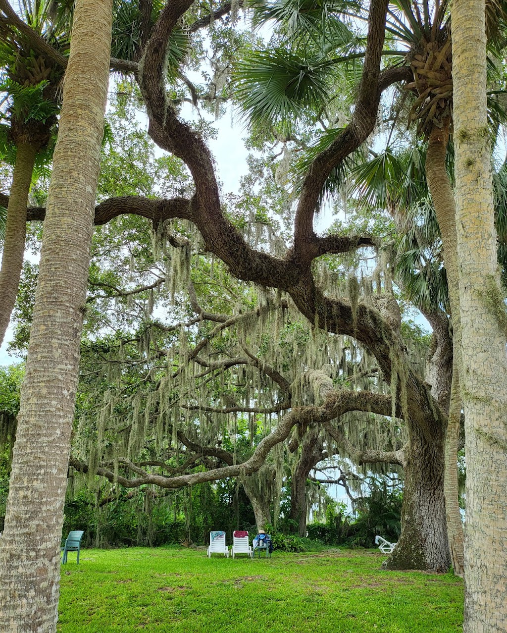 Warm Mineral Springs Park | 12200 San Servando Ave, North Port, FL 34287, USA | Phone: (941) 429-7275