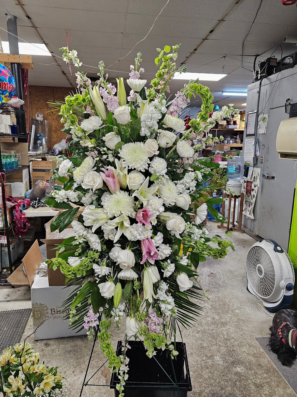 Bloomingdays Flower Shop & Flower Delivery | 11618 N Florida Ave, Tampa, FL 33612 | Phone: (813) 933-1942