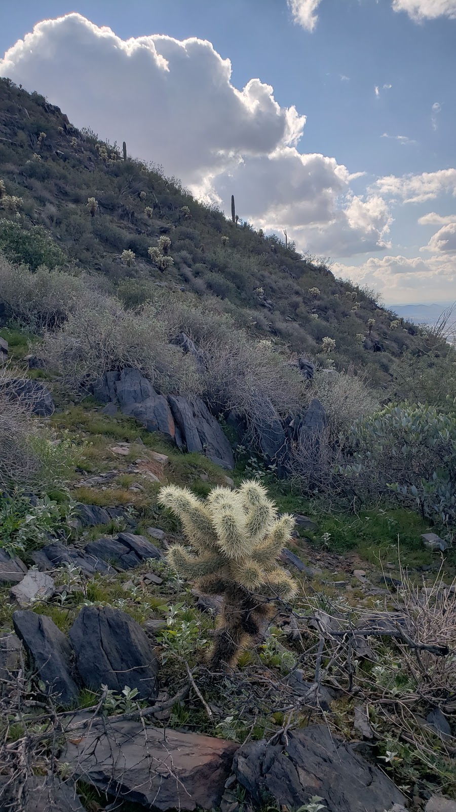 Black Mountain Preserve | Black Mountain Summit Trail, Cave Creek, AZ 85331, USA | Phone: (480) 488-6131