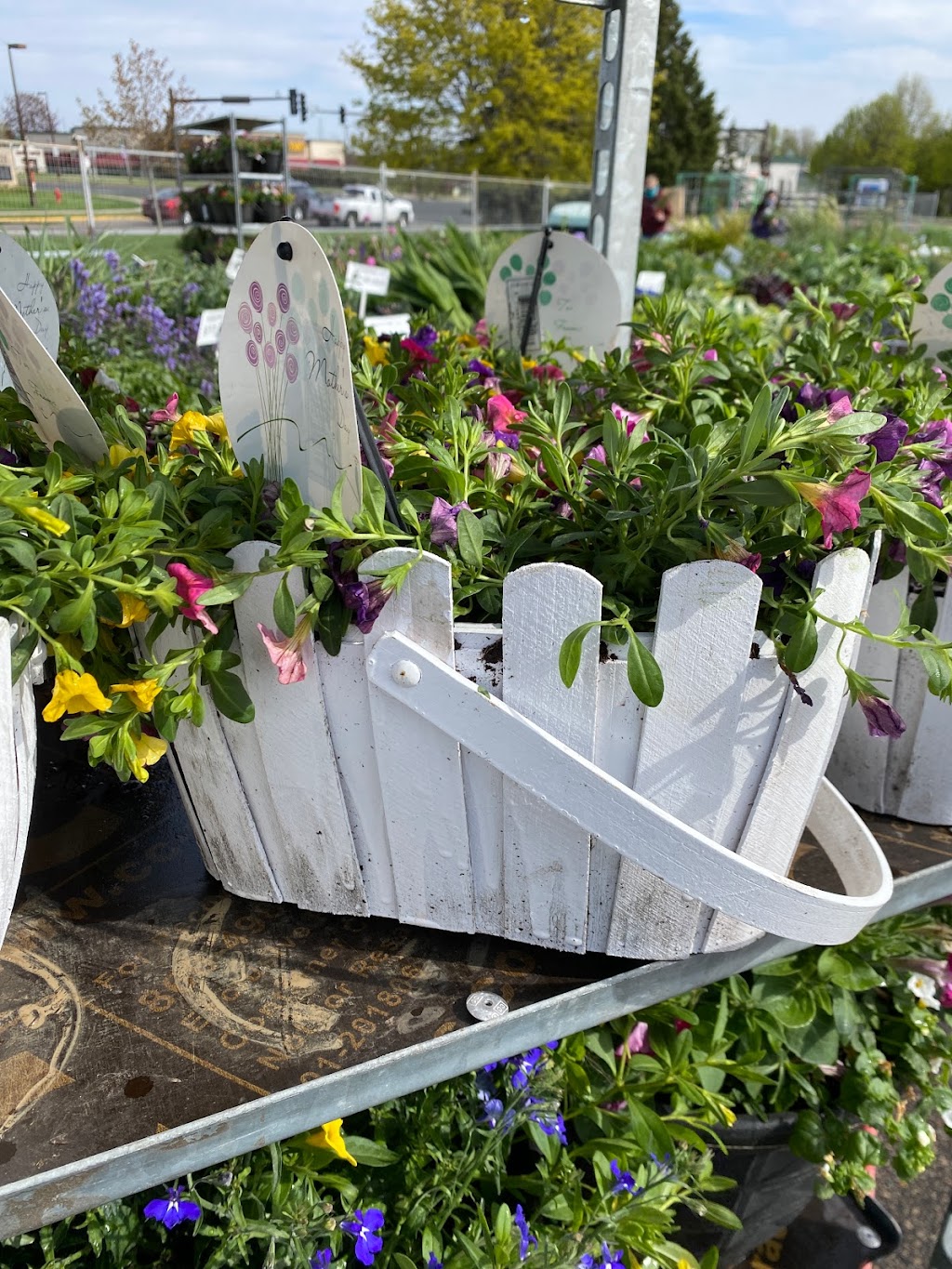 Plant Place Garden Center | 800 W 78th St, Chanhassen, MN 55317, USA | Phone: (763) 441-8022