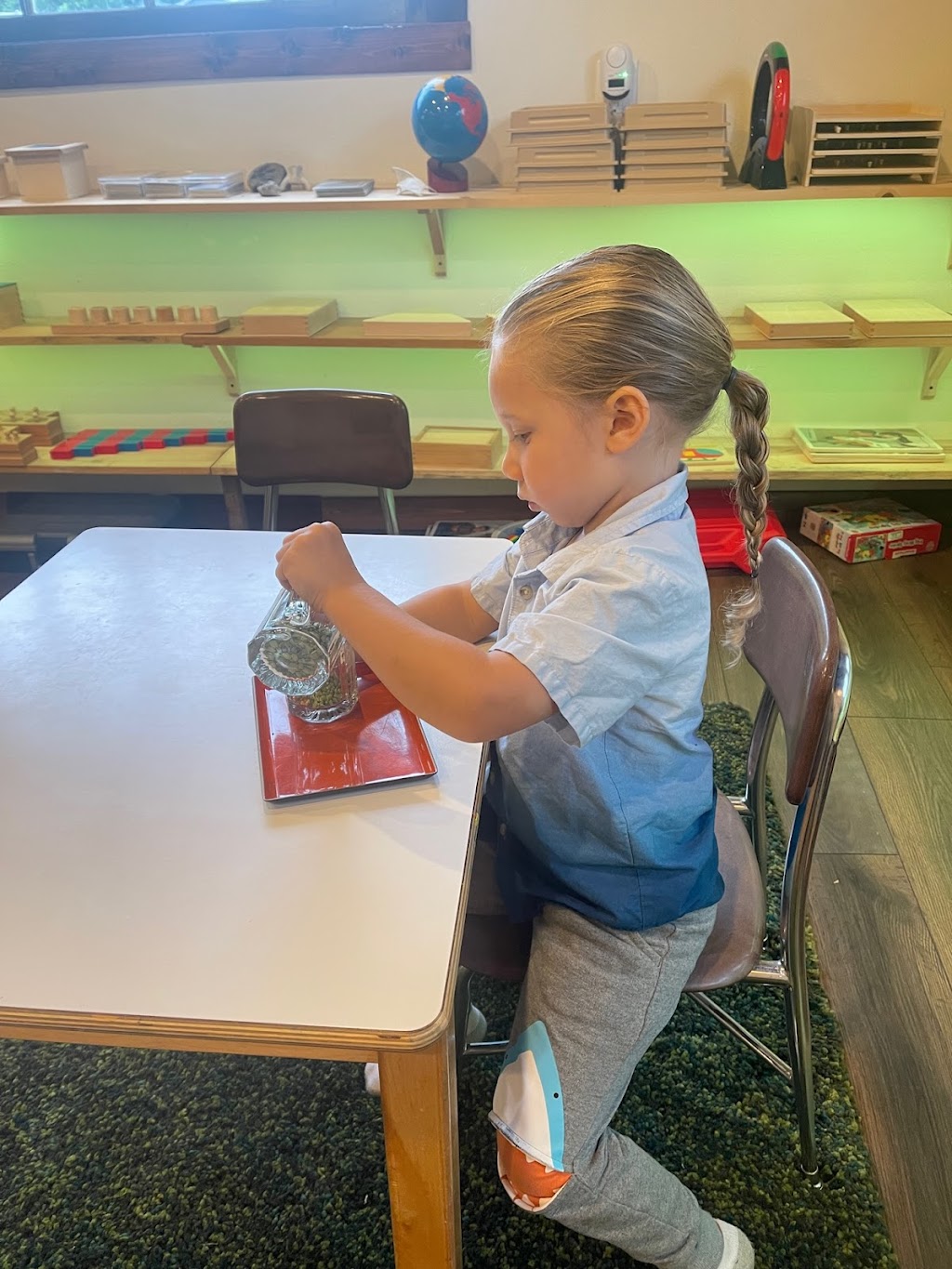 Tolt Montessori | 32110 NE 55th St, Carnation, WA 98014, USA | Phone: (425) 898-3193