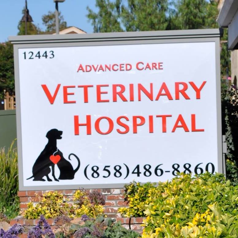 Advanced Care Veterinary Hospital | 12443 Poway Rd, Poway, CA 92064, United States | Phone: (858) 486-8860