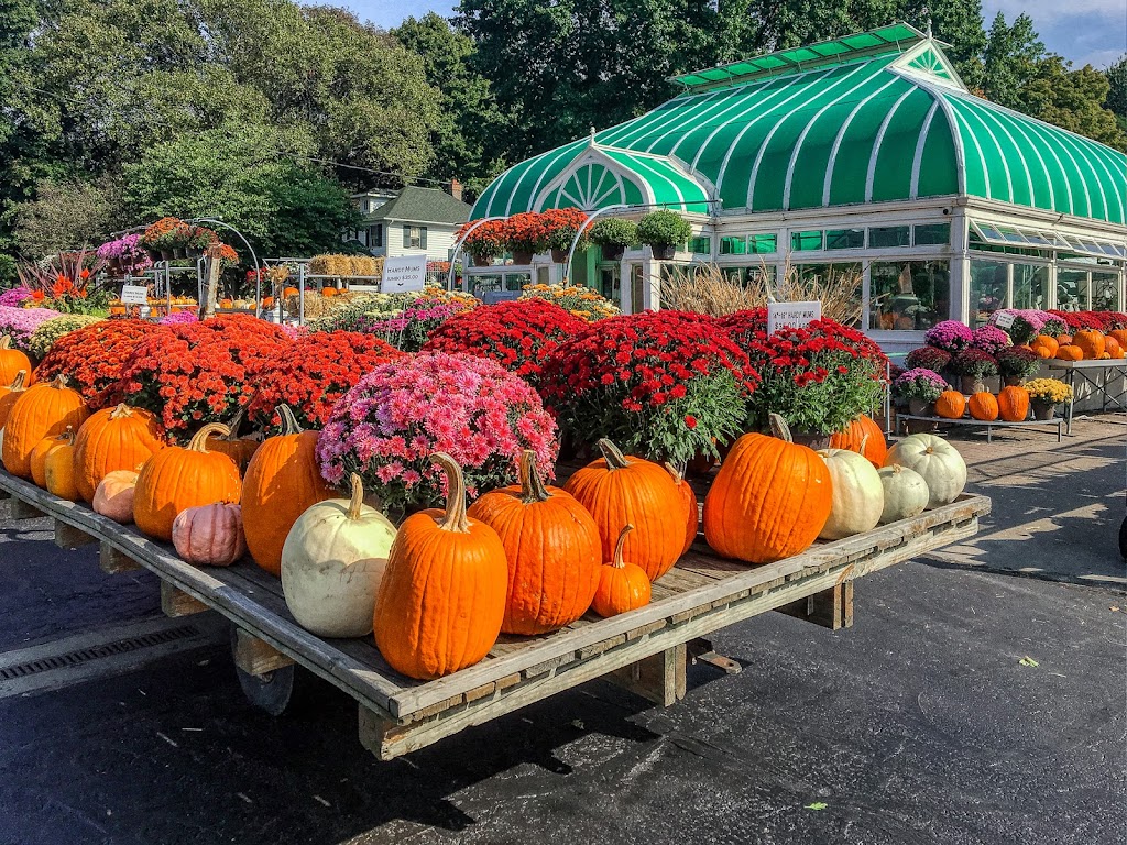 Havels Flowers & Greenhouses | 9294 Mentor Ave, Mentor, OH 44060, USA | Phone: (440) 255-8880