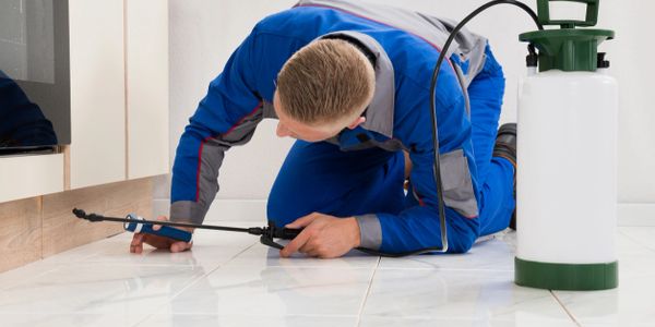 Premier Pest Control | 516 Maple St, Louisville, NE 68037, USA | Phone: (402) 659-8819