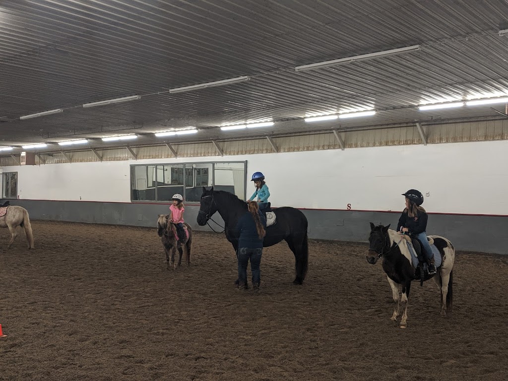 Mon Cheval Training Center, LLC | 31734 Willow Trail, Cannon Falls, MN 55009, USA | Phone: (651) 248-1316