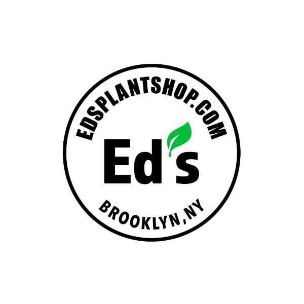 Eds Plant Shop | 174 Bogart St #207, Brooklyn, NY 11206, United States | Phone: (718) 407-4269