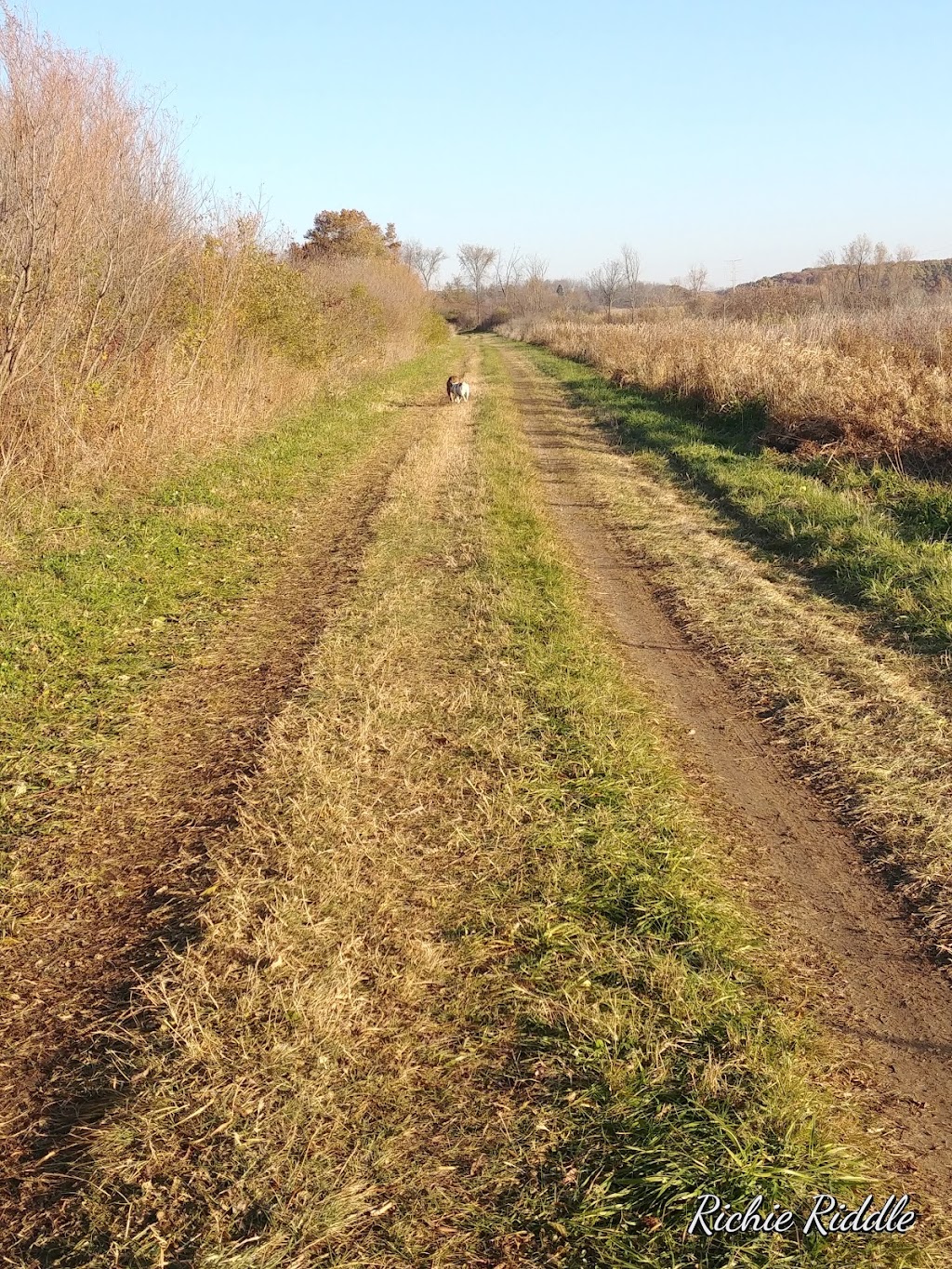 Goose Lake Drumlins State Natural Area | Marshall, WI 53559, USA | Phone: (888) 936-7463