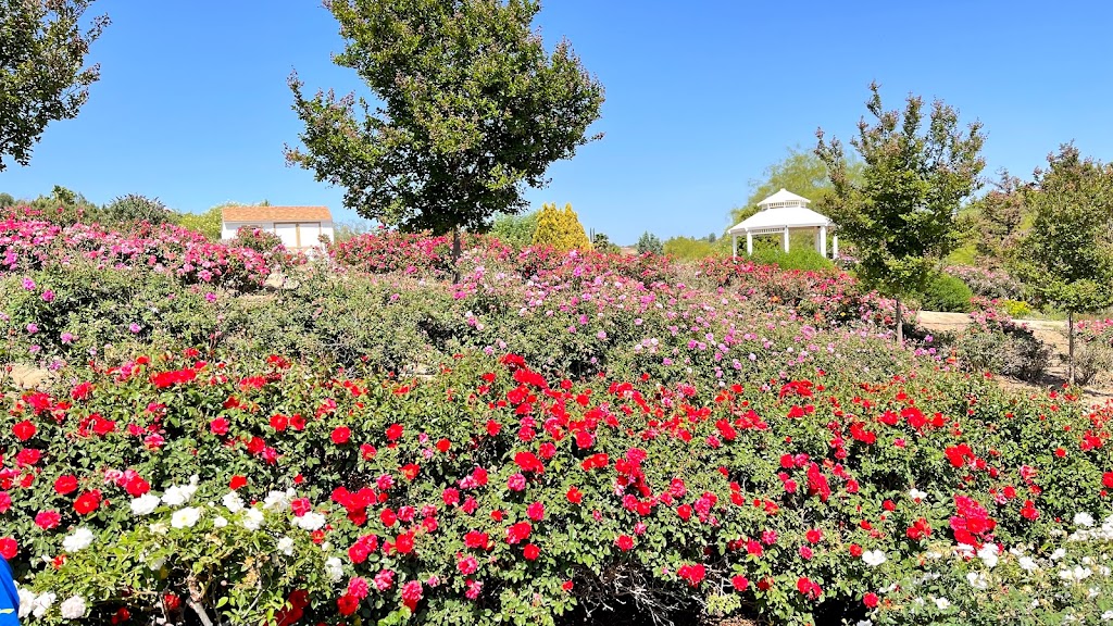 Rose Haven Heritage Garden | 30592 Jedediah Smith Rd, Temecula, CA 92592, USA | Phone: (951) 693-2814