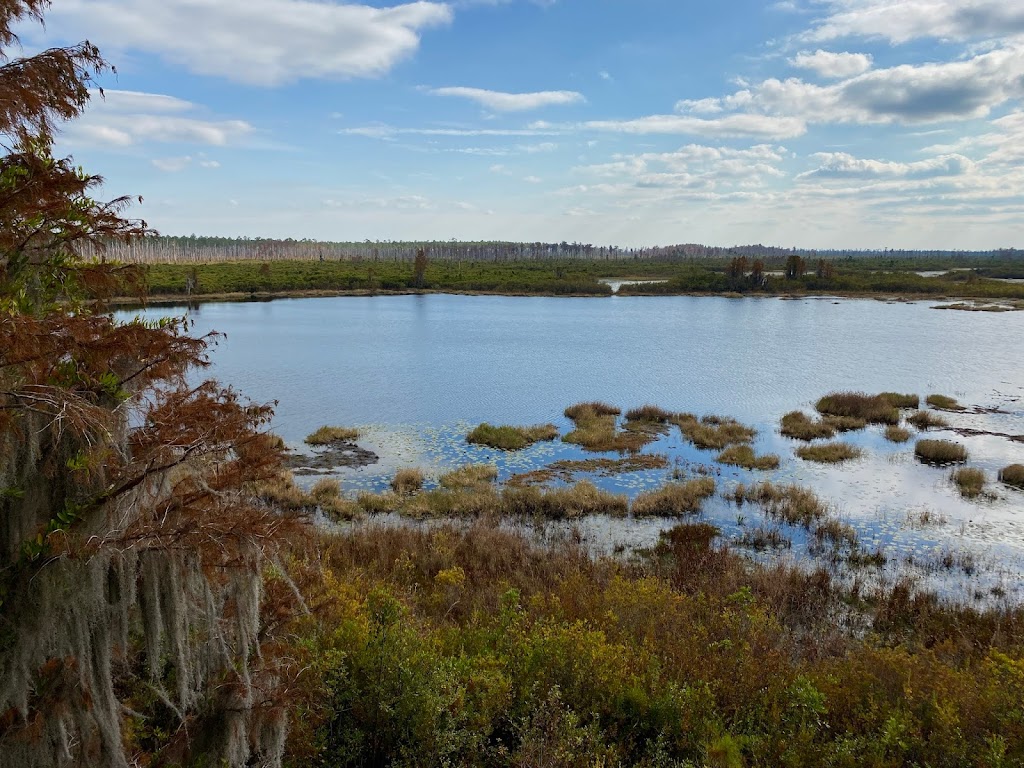 Chesser Island Boardwalk Trailhead | Folkston, GA 31537, USA | Phone: (912) 496-7836