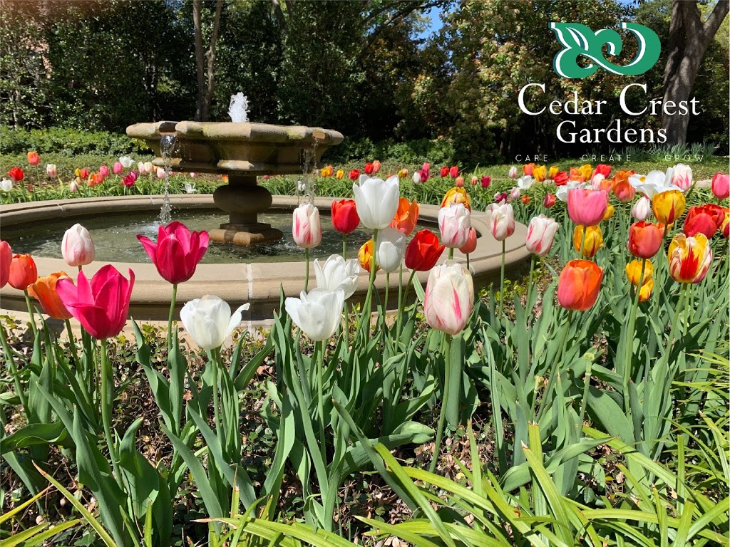 Cedar Crest Gardens | 2842 Singleton Blvd Suite 100, Dallas, TX 75212, USA | Phone: (214) 497-8555