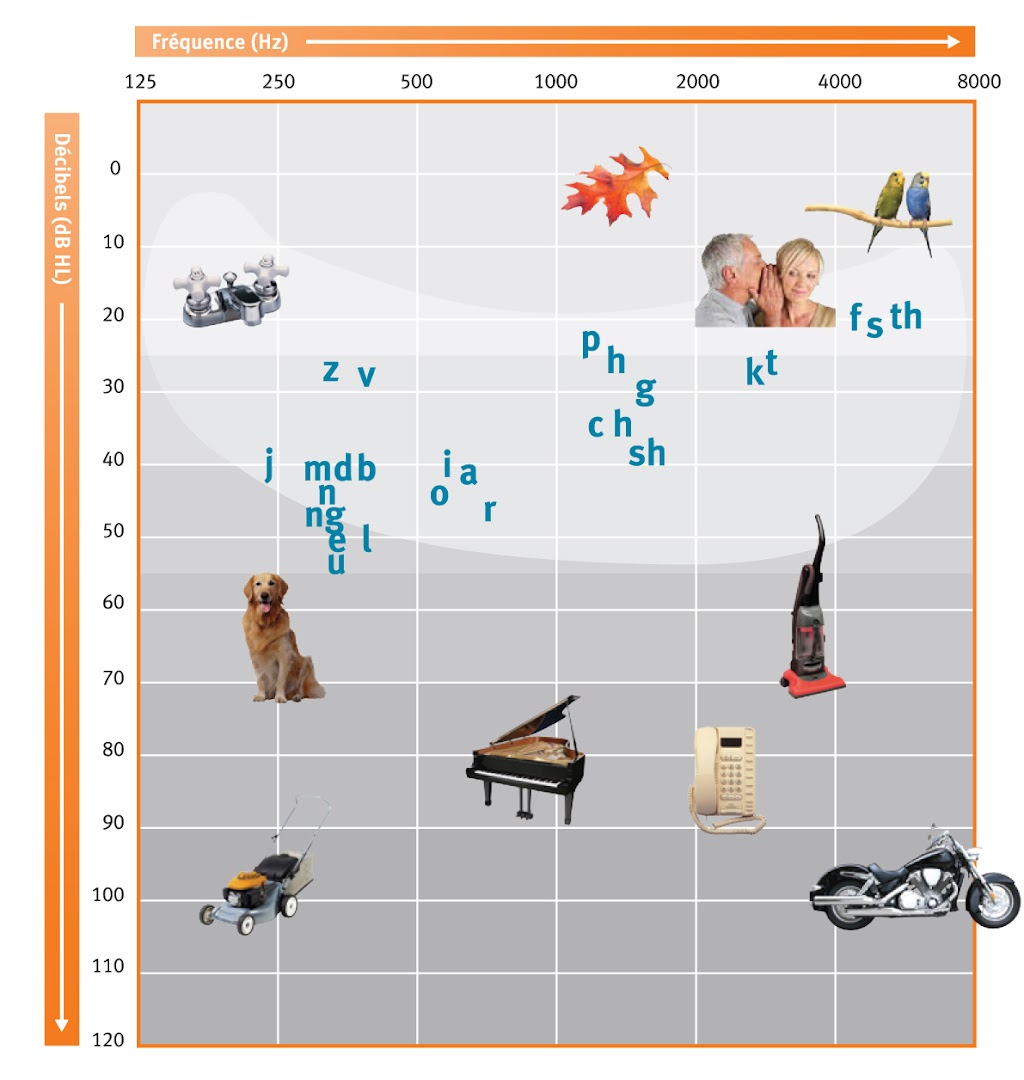 Home Service Hearing Aid, Inc. CALL TO SET UP YOUR APPOINTMENT | 19735 Iguana St NW Suite 104, Elk River, MN 55330, USA | Phone: (763) 441-1278