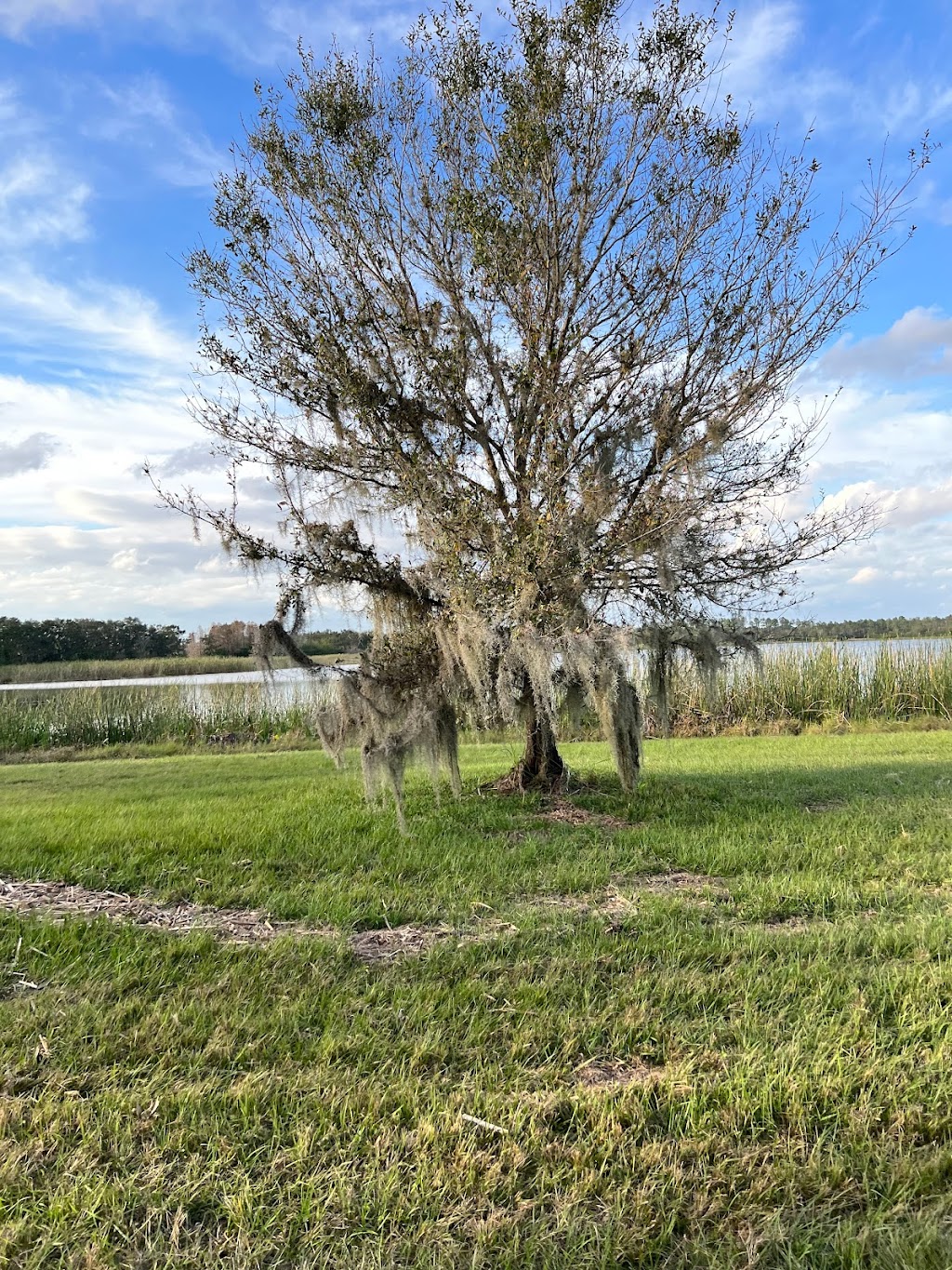 Hardee Lakes County Park | 8950 5502 Ollie Roberts Rd, Bowling Green, FL 33834, USA | Phone: (863) 767-1100