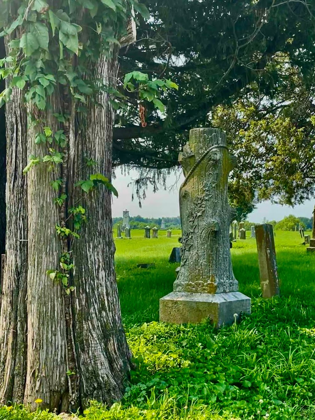 Palmier Cemetery | Columbia, IL 62236, USA | Phone: (618) 954-3277