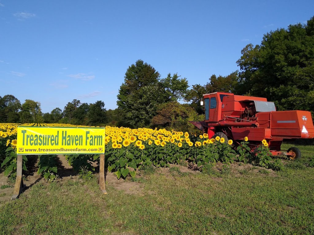 Treasured Haven Farm | 53407 Government Rd, Rush City, MN 55069, USA | Phone: (320) 358-3581