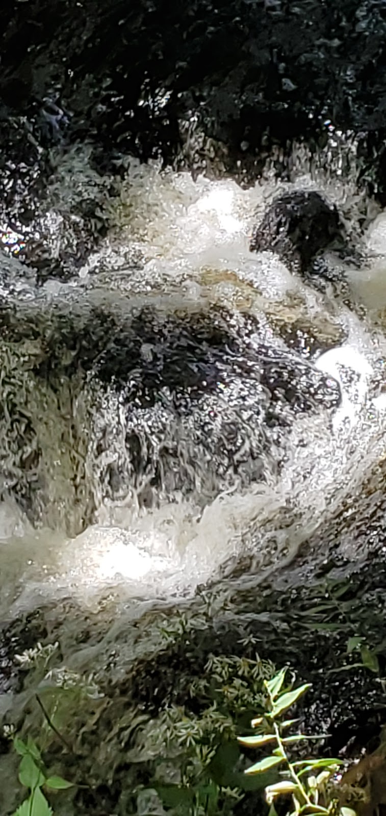 Cascade Lake Park | Cascade Lake Rd, Warwick, NY 10990, USA | Phone: (845) 986-1124