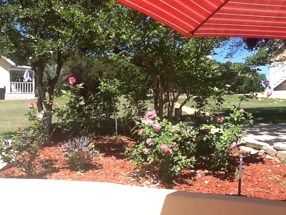 TNT Hill Country Getaways | 21130 Pvt Rd 177, Helotes, TX 78023, USA | Phone: (830) 688-1562