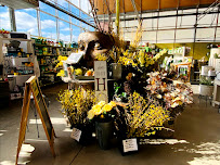 Barries Garden Centre | 375 Bayview Drive, Barrie, Ontario, L4N 8Y2 | Phone: (705) 730-1113