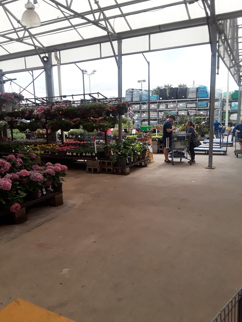 Lowes Garden Center | 19935 Katy Fwy, Houston, TX 77094 | Phone: (281) 492-7980