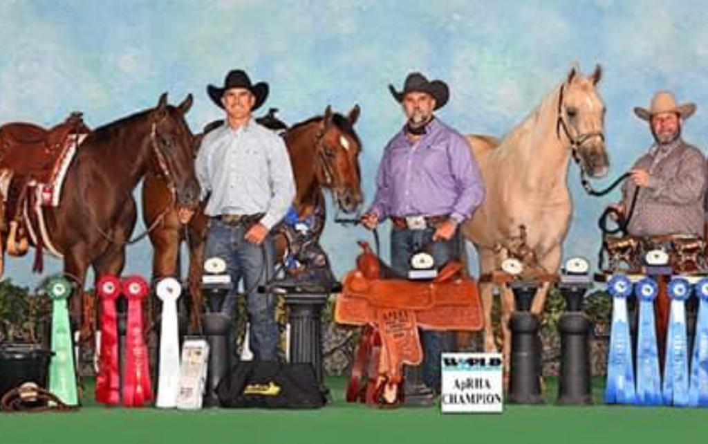 Goodman Performance Horses | 23901 SW 157th Ave, Homestead, FL 46122 | Phone: (786) 457-7868