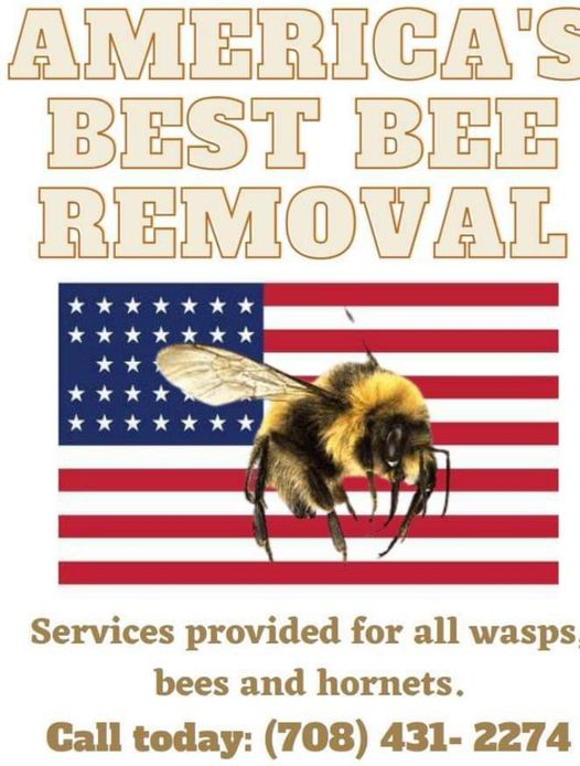 Americas Best Bees | 390 S 200 W, Valparaiso, IN 46385, USA | Phone: (219) 386-3247