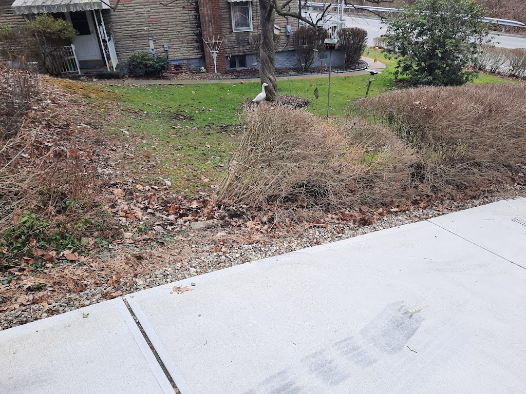 In The Nick Of Time Moving | 1517 Lang St, West Bend, WI 53090, USA | Phone: (877) 266-6704