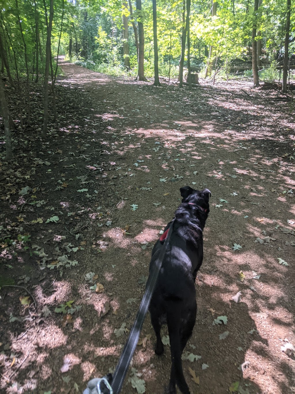 Lowry Nature Center | 7025 Victoria Dr, Victoria, MN 55386, USA | Phone: (763) 694-7650