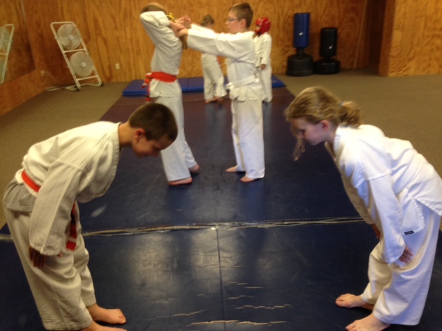 Findlay Martial Arts Academy | 1740 Lima Ave, Findlay, OH 45840, USA | Phone: (419) 427-3988